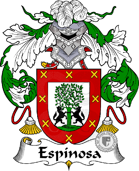 Espínosa Ii family Coat of Arms